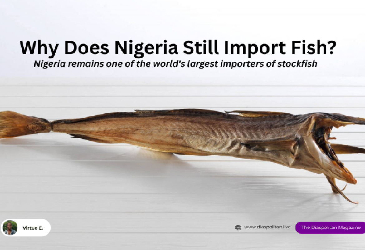 Why does Nigeria remain one of the world's largest importers of stockfish?