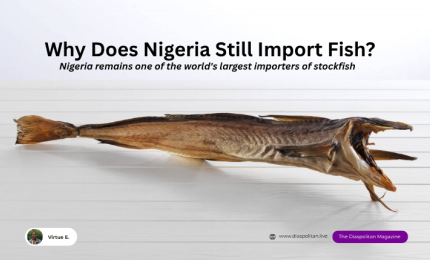 Why does Nigeria remain one of the world's largest importers of stockfish?