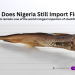 Why does Nigeria remain one of the world's largest importers of stockfish?